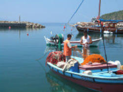 Photograph of a small fishing boat