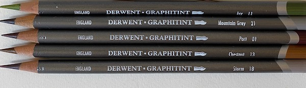 Derwent GraphiTine Colored Pencil Ivy 11 : Artists Pencils :  Office Products