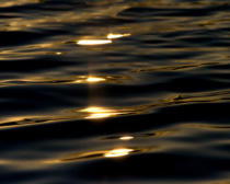 Photograph of ripples on dark water