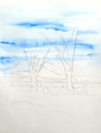 Drawing (Painting) With Powdered Graphite - Carol's Drawing Blog